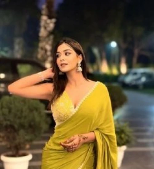 Nisha College Call Girl Malviya Nagar Delhi